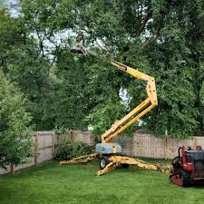 Best Lawn Seeding  in Gerber, CA