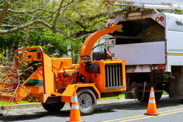 Best Commercial Tree Services  in Gerber, CA