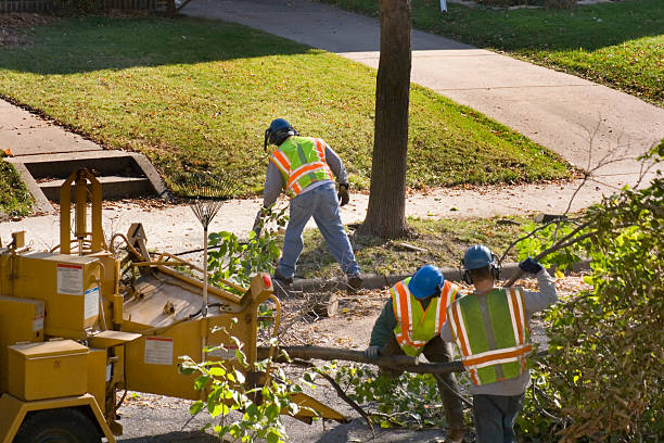 Best Aeration Services  in Gerber, CA